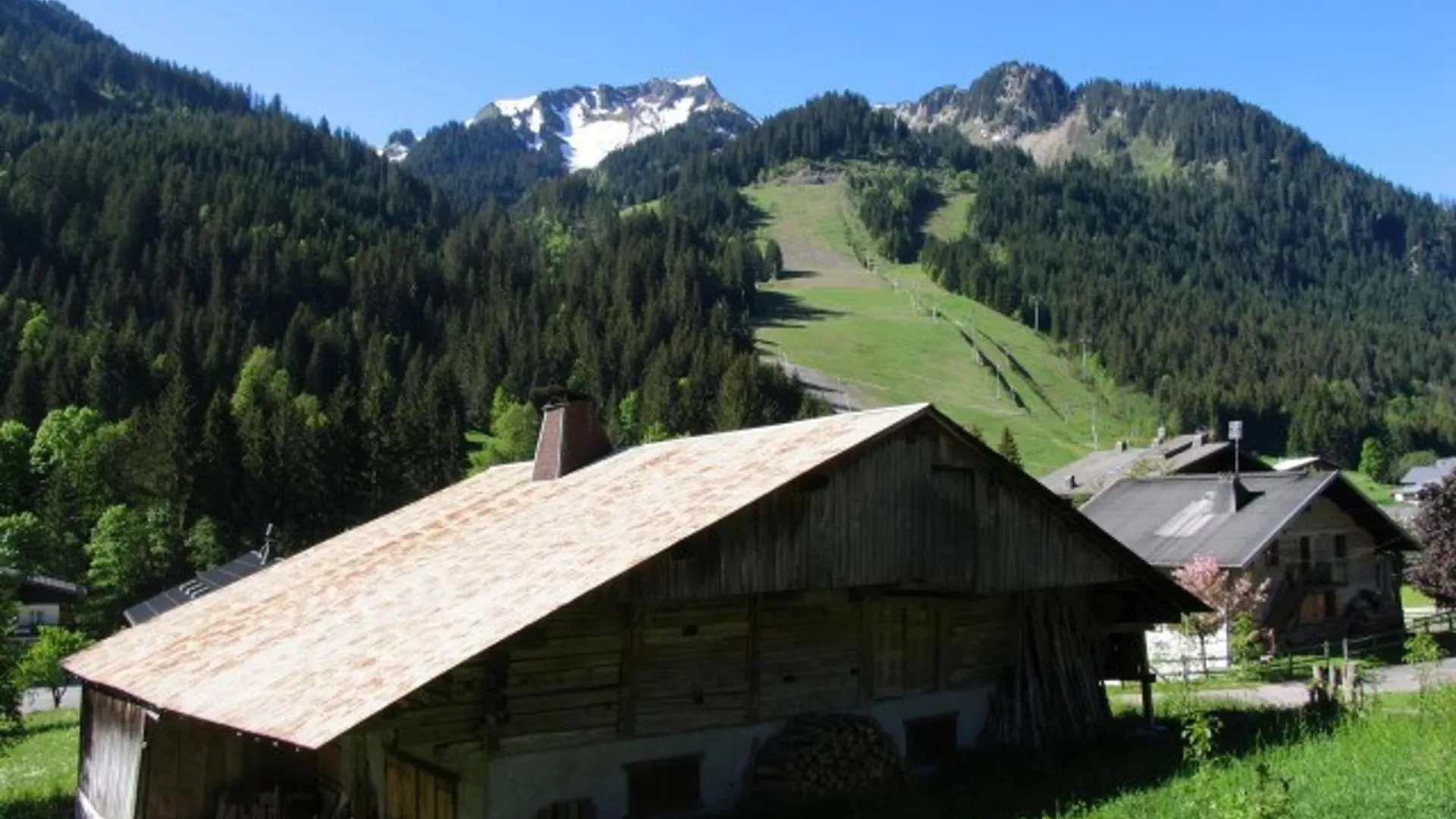Appartement Cosy, 5 Pers., Balcon Sud, A 200M Des Remontees Du Linga, Chatel - Fr-1-676-159